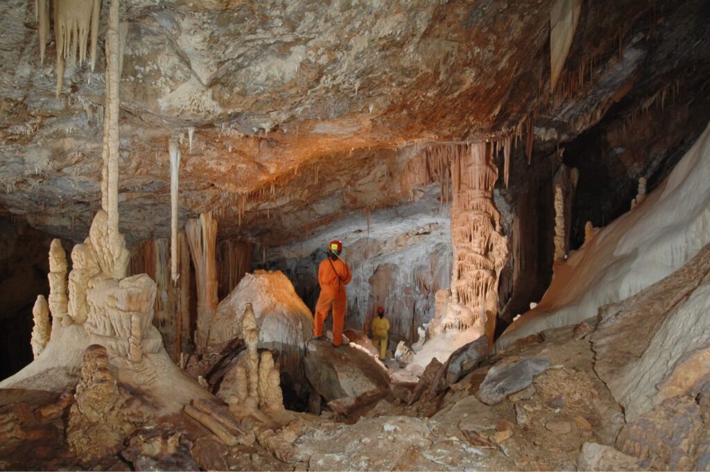 CONSERVATION OF CAVE-DWELLING BATS AND CAVE HABITATS IN GREECE