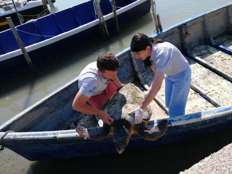 CARETTA2 ZAKYNTHOS – REDUCING THE IMPACT OF FISHERIES AND MARINE LITTER ON CARETTA CARETTA SEA TURTLES IN THE MARINE AREA OF ZAKYNTHOS ISLAND, GREECE