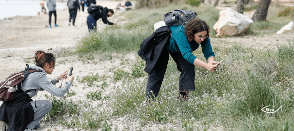 City Nature Challenge 2025 σε Αθήνα και Θεσσαλονίκη, από την iSea