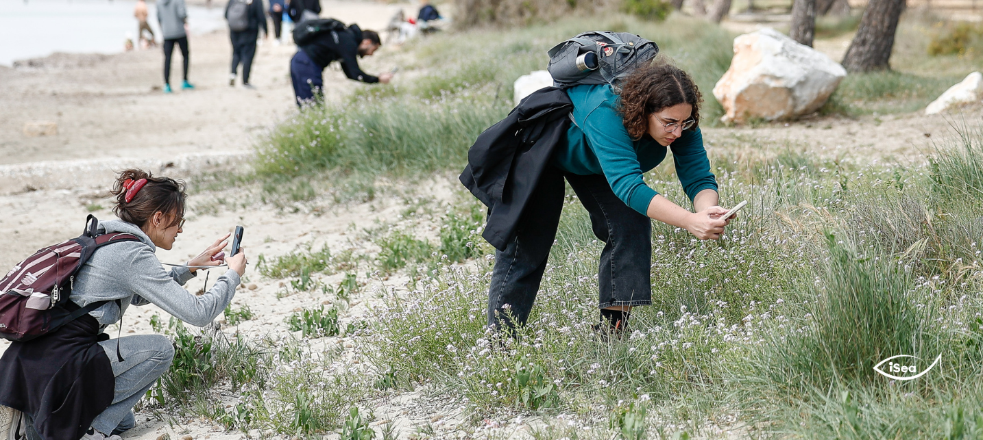 City Nature Challenge 2025 σε Αθήνα και Θεσσαλονίκη, από την iSea