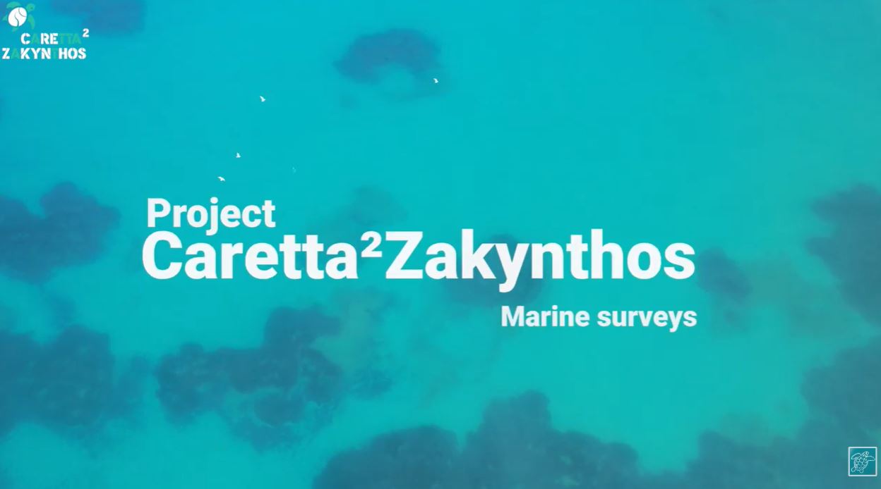 Ανακαλύψτε το επίσημο βίντεο του προγράμματος Caretta² Zakynthos!
